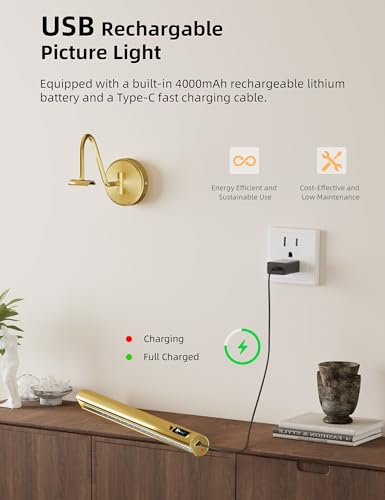 VOLISUN Picture Lights for Wall, 15.7'' Rechargeable Picture Light Battery Operated, 3 Color Temps Cordless Picture Light with Remote, Magnetic Art Light for Painting, Gallery, Portrait, 1 Pack(Brass)