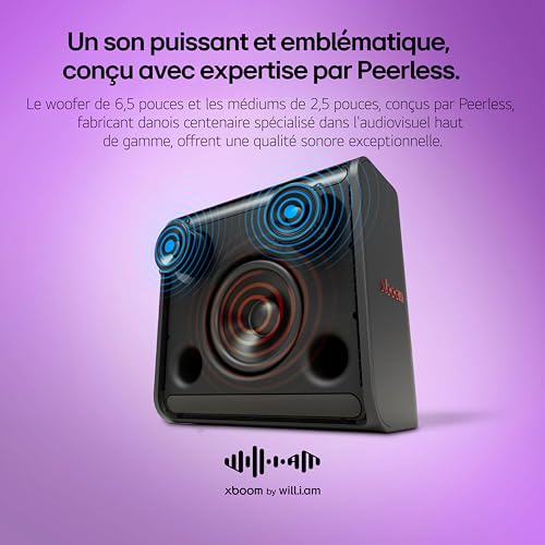 LG xboom Stage301, Portable Party Speaker, Bluetooth et Assistants vocaux, Design rétro,Indicateur LED (pour Guitare/Micro)