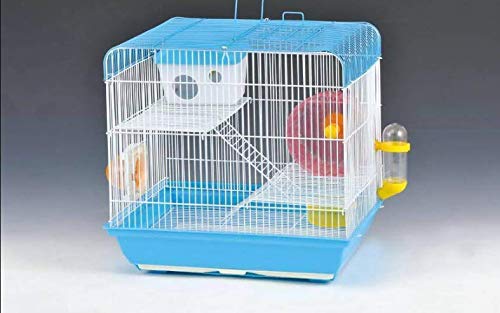Cage/Playhouse for Dwarf Hamster/Gerbil/Mice with a Food Cup, Water Bottle and Exercise Wheel with Spacious Two ladders cage (37Cm x 28 cm x 35 cm )- Central Fish Aquarium [ Colors May Vary ] (B08K7PBSH2) Amazon Price History, Amazon Price Tracker