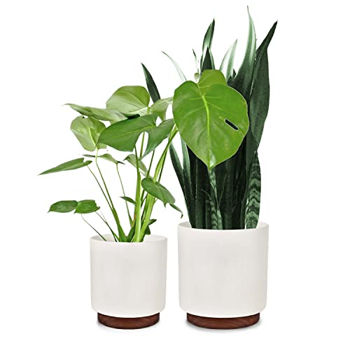 Fox & Fern Plant Pots Indoor, Planters For Indoor Plants, Flower Pots - Fit Mid Century Modern Plant Stand - Drainage Plug And Wooden Base - Matte White - Set Of 2X 10 Inch & 12 Inch Pots For Plants #TOP9