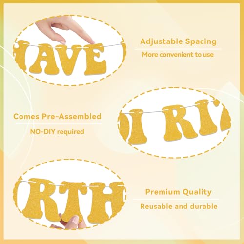 Have a Skibidi Rizz Birthday Banner Happy Skibidi Birthday Banner Funny Zoomer Bday Decorations Gold Glitter by Yochamc - Used condition - Image 2