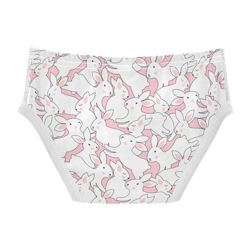 Wusikd Cute Rabbits Boys' Underwear Cotton Bunnies Pink Boys Briefs Soft Toddler Underwear 6Y2