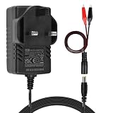 TalentCell AC/DC 14.4 14.6V/1.5A LiFePO4 Caricabatteria con Dual Alligator Clips Connettore per 4S 12V Ricaricabile Litio Ferro Fosfato Batteria Pack