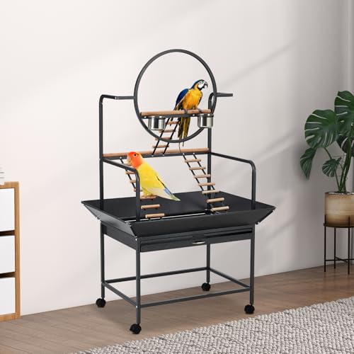 Pet Products Parrot Playstand with Wheels, Bird Stand Activity Play Center with Perches and Ladders, Indoor Outdoor Playground for Birds, Black Hammertone Finish