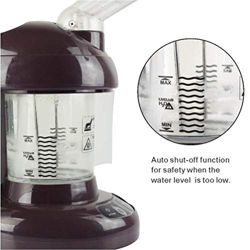 Hair Steamer Kingsteam 2 in 1 Ozone Facial Steamer, Design for Personal Care Use At Home or Salon