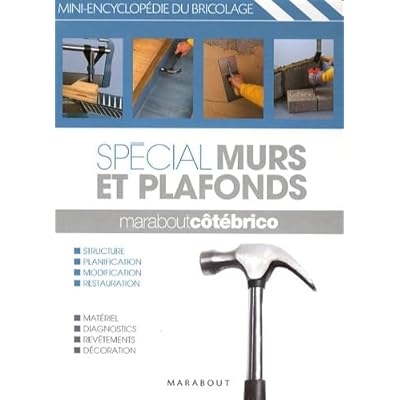 Sp&eacute;cial Murs et plafonds