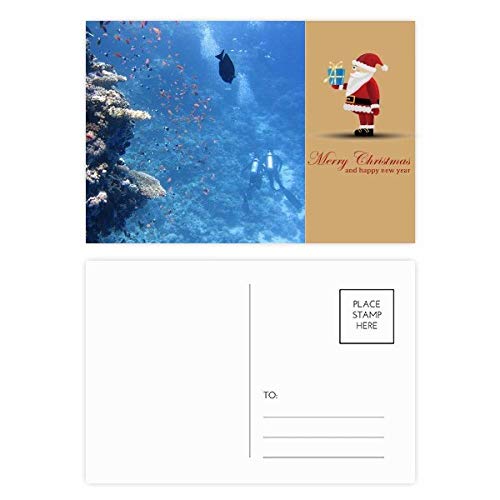 Cartes postales Ocean Fish Plongée Science Nature Père Noël : lot de 20 illustrations uniques