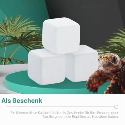 GXGM 6 Stück Mineralienblock für Reptilien und Schildkröten, Natürliche Mineralien-Ergänzung für Schildkröten, Geckos, Chamäleons, Langsame Freisetzung für gesundes Wachstum und Vitalität