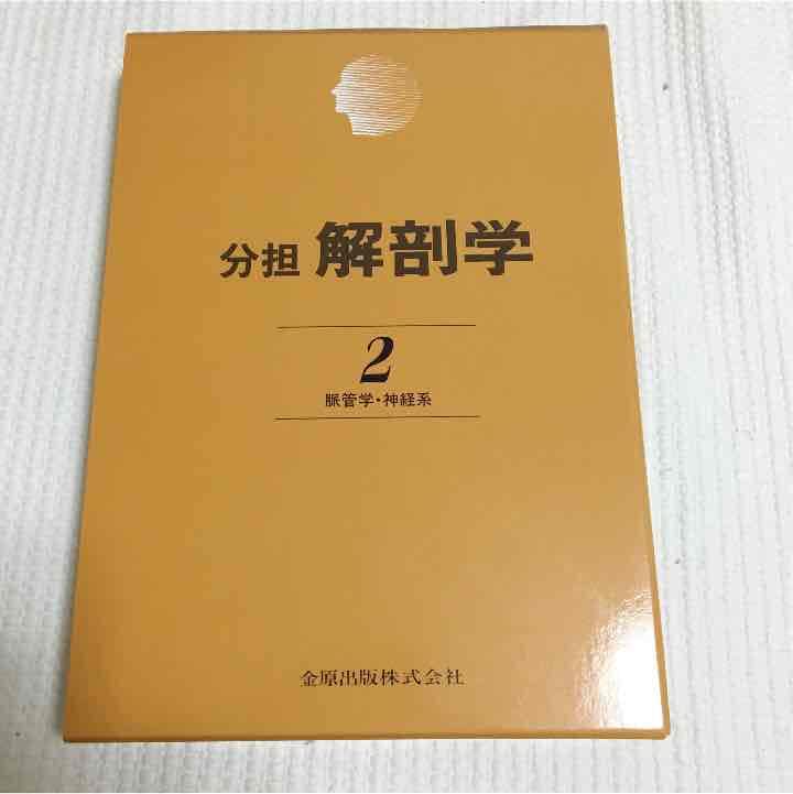 理学療法士を目指す方！必見！分担 解剖学2 胆管学 神経系 Amazon | 理学療法士を目指す方！必見！分担 解剖学2 胆管学