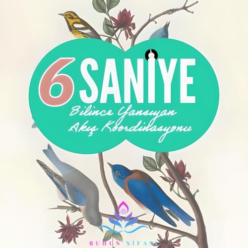 6 Saniye