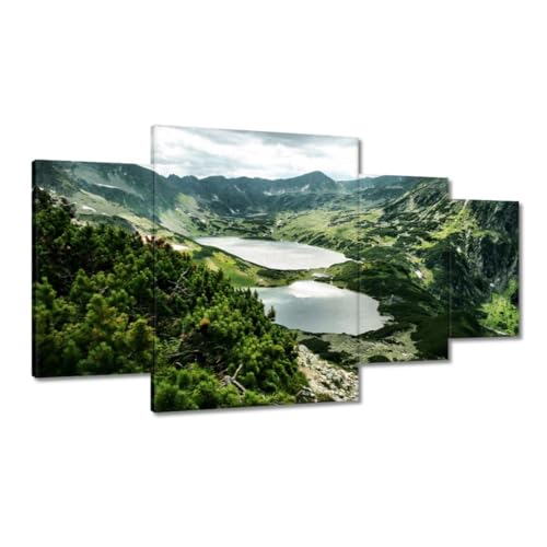 Toile Tatras Vallée des 5 étangs 160x90 salon moderne chic