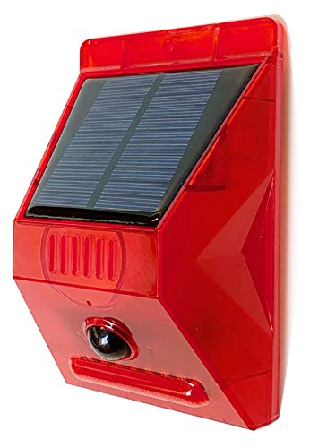 i DLS-AL1\[[[dA[x TmƌŌx