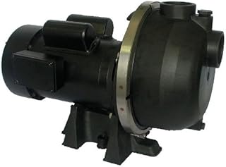 20-1/2 Self-Priming Centrifugal Pump, Dayton, 5UPW2