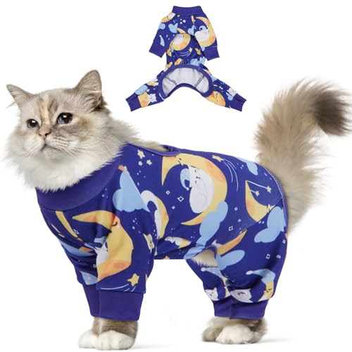 DENTRUNL H~ p[X 傫 L p 畆ی rߖh~ ~h~ _炩ɗD pW}  y K Lk(u[, 2XL)