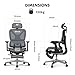 FLEXISPOT Ergonomischer Bürostuhl Schreibtischstuhl, 3D-Armlehnen, 3D-Kopfstütze, 5D-verstellbare Rückenlehne, Atmungsaktiver Sitz Belastbar bis 136 kg Arbeitsstuhl, ErgoX, Dunkelgrau
