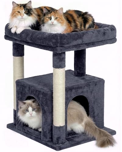 KinoTail Cat Tree for Large Cat, 19 * 15.8in Large Perch Bed for Adult Cats, 23.6in Cat Tower with Scrathing Post, Cat Condo with 2-Door for Indoor Cats, Dark Gray