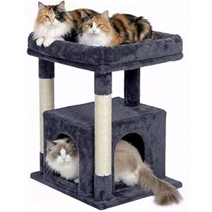 KinoTail Cat Tree for Large Cat, 19 * 15.8in Large Perch Bed for Adult Cats, 23.6in Cat Tower with Scrathing Post, Cat Condo with 2-Door for Indoor Cats, Dark Gray