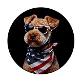 Zoom IMG-2 lakeland terrier dog 4 luglio Zoom IMG-2 lakeland terrier dog 4 luglio