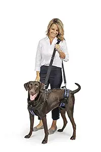Solvit Dog Lifting Aid Mobility Harness (Black, Large, Pack of 1)