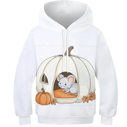 Pulls 3D enfants souris faciles à entretenir pour garçons et filles 8-10 ans