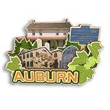 Tripsouv Imán de madera 3D para nevera de Auburn New York, Estados Unidos, divertido adhesivo decorativo para nevera, recuerdo de viaje, hogar, cocina