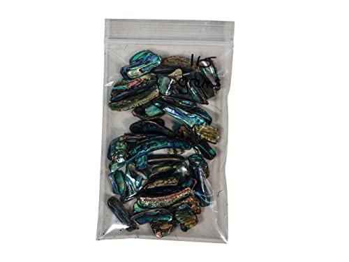 Image of 1 /4 Pound of Highly Polished Paua Abalone Shell Nuggets: 20-50mm (565-TNHP-4)