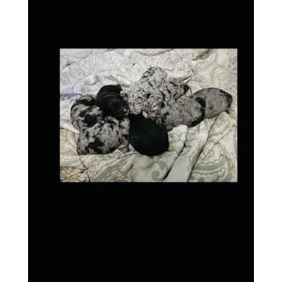 PUPPIES JOURNAL