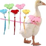 QBLEEV Pet Cole Duck Outside Walking Harness Leash, Adjustable Outdoor Training Traction Rope for Goose Chicken Hen