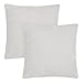 Amazon Brand - Umi Juego de 2 Funda Cojín 40x40cm, Funda Cojín Sofá Fundas de Almohada Suave de Pana para Sofá, Gris Claro