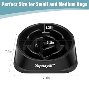Slow Feeder Dog Bowls 2PCS, Anti-Slip Maze Puzzle Dog Feeding Bowls, Anti-Chocking and Interactive Dog Food Bowls, Bloat Stop Dog Bowls for Small and Medium Dogs and Cats (Black and Navy Blue) Slow Feeder Dog Bowls 2PCS, Anti-Slip Maze Puzzle Dog Feeding Bowls, Anti-Chocking and Interactive Dog Food Bowls, Bloat Stop Dog Bowls for Small and Medium Dogs and Cats (Black and Navy Blue)