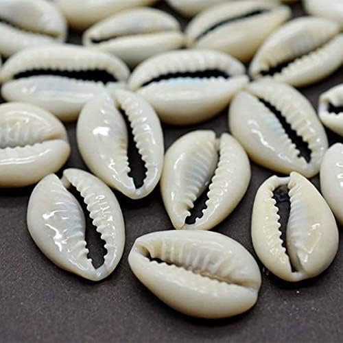 Anshraj White Cowrie Shells for Diwali Laxmi Pujan & Craft - Set of 11 | Kodi Shells for Jewelry, Bracelets, Rakhi, Embroidery & Decoration 4