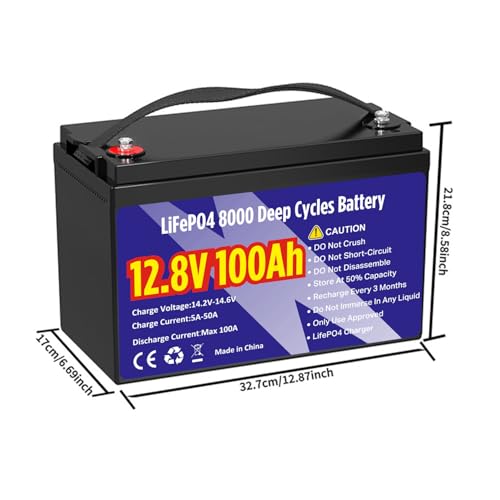 Image of 12V 100Ah LiFePO4 Lithium Battery, Group 31 1280Wh Lithium Iron Phosphate Battery 8000+ Deep Cycles Long Lifespan with Built-in BMS Low Temperature Battery for Trolling Motor, RVs, Solar System