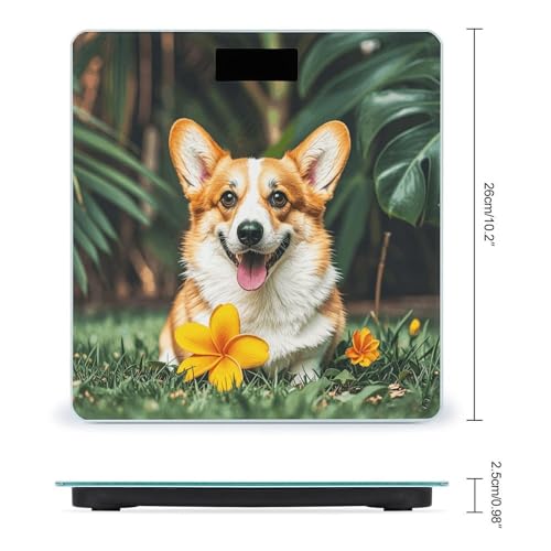 Báscula Digital de Baño con Diseño Tropical y Corgi miniatura 2