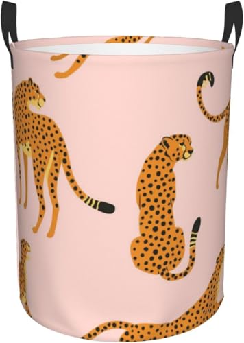 qE Mѓ `[^[ ꕞ[󂩂 zGݎ[{bNX ی^t[{bNX LN^[킢~^[ M