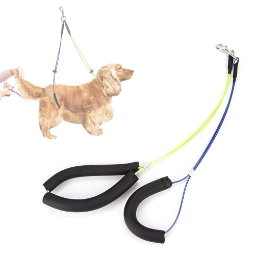 Guinzaglio Regolabile per Toelettatura Cani in Acciaio Inossidabile, con Collare in Cotone Espanso, Passante per Toelettatura Cani, Cinghia Addominale per Toelettatura Cani, per