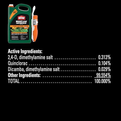 image for Ortho WeedClear Lawn Weed Killer Ready-to-Use with Comfort Wand, Kills