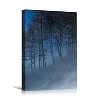 Canvas Wall Art Foggy Trees Cool Dramatic Forest Multicolor Nature Photography Rustic - 12x18 inches