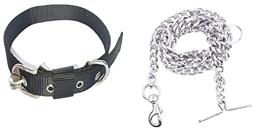 Hundur Store Combo of Dog Collar 1 inch Chain Collar with 12 No. Steel Dog Collars Chain Dog Collar & Chain (Small, Black) (B0B6SZM3YX) Amazon Price History, Amazon Price Tracker