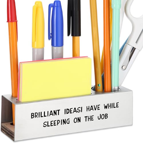 SOSREBEDR Funny Office for Women, Brilliant Ideas I Have While Sleeping on the Job, Humor Gift for Overworked Employees Coworkers Work-from-Home Professionals Office Pencil Holder for Desk SD289