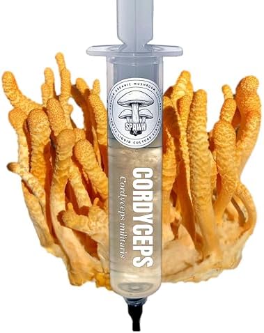 Cordyceps (Cordyceps militaris) Liquid Culture 20mL | Spawn Mycology