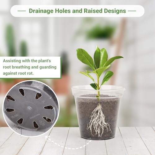 GREANER Clear Nursery Pots with Drainage, 6/7/8 Inch Plastic Plant Pot with 20 Plant Labels, Transparent(Pack of 15) by GREANER - Image 4