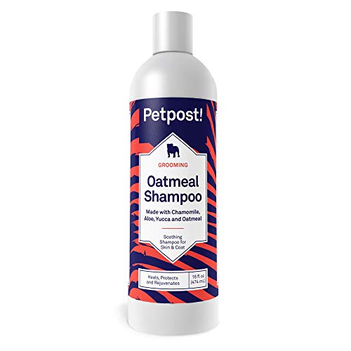 Petpost | Haferflocken & Kamillenshampoo für Hunde mit trockener Haut - Natürliche Heilung, Schutz und Regeneration von Hundehaut & Fell - Haferflocken, Kamille, Aloe & Yucca Formel (137 mL) Cover