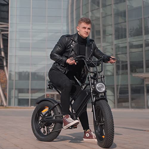 Bfisport Electric Bike For Adults, 750W Electric Bicycle 20 Inch Fat Tire Ebike, 30 Mph Commuter E Moped, 48V 15Ah Removable Battery E Bikes, City Off Road Mountain Beach Snow Dirt Hybrid Bicycles #TOP5