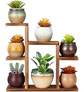 OcBuct Small Desk Plant Stand 7 Tiers Window Sill Plant Shelf Tabletop Succulent Stand Wood Deskt...