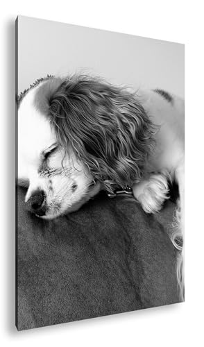 Tableau Chiot endormi doré deyoli 90x60 cm noir et blanc avec cadre