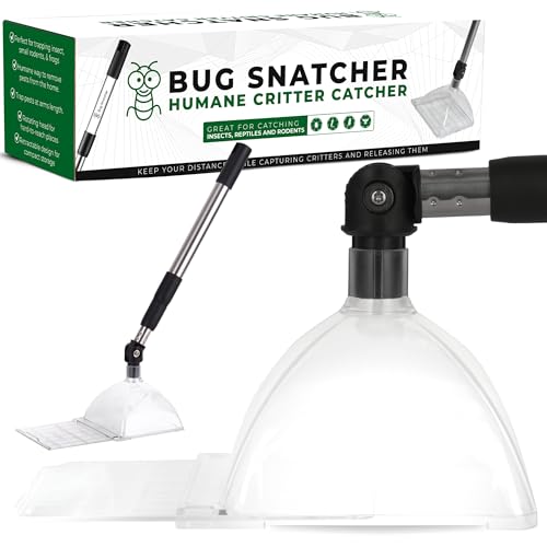 Bug Catcher Container & Extendable Stainless Steel Stick | See-Through Insect Trap for Spiders, Ants, Lizards | Humane Bug Catcher for Home | Educational Tool for Kids & Adults