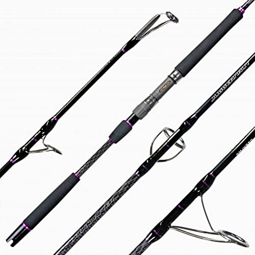 Dark Matter Fishing Rods - Juggernaut Jigging Rod, Spinning Rods for Fishing, Lightweight Jigging Rod with Fuji Guides & EVA Grips, Carbon Fiber for Saltwater & Deep Sea - Carbon, 6'0"