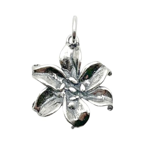 Kevin N Anna Lily Charm