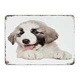 alabaisse 【Decoración de pared】: Nuestros letreros de metal de aluminio para patio son adecuados para tu hogar, garaje, dormitorio, oficina, sala de estar, cocina, baño, cueva de hombre, bar, pubs, restaurante, cafetería, jardín, salas de juegos