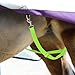 Harrison Howard Half-Way Elastic Horse Leg Straps Replacement Horse Blanket Sheet Leg Straps Adjustable Length w/Flexibility Yellow Full Large